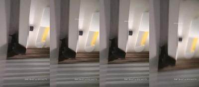 全国発売20226125 絶頂快感を約束する超刺激特別版